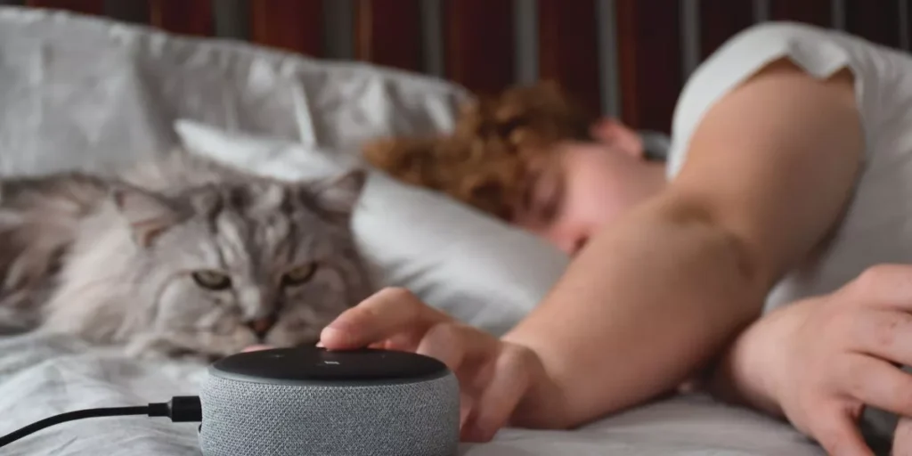 How Can Smart Pet Devices Help You Track Your Pet’s Activity? How Can Smart Pet Devices Help You Track Your Pet’s Activity?