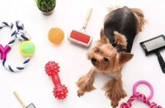 What Are the Top Travel Accessories for Pets on the Go?