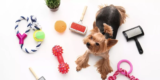 What Are the Top Travel Accessories for Pets on the Go?